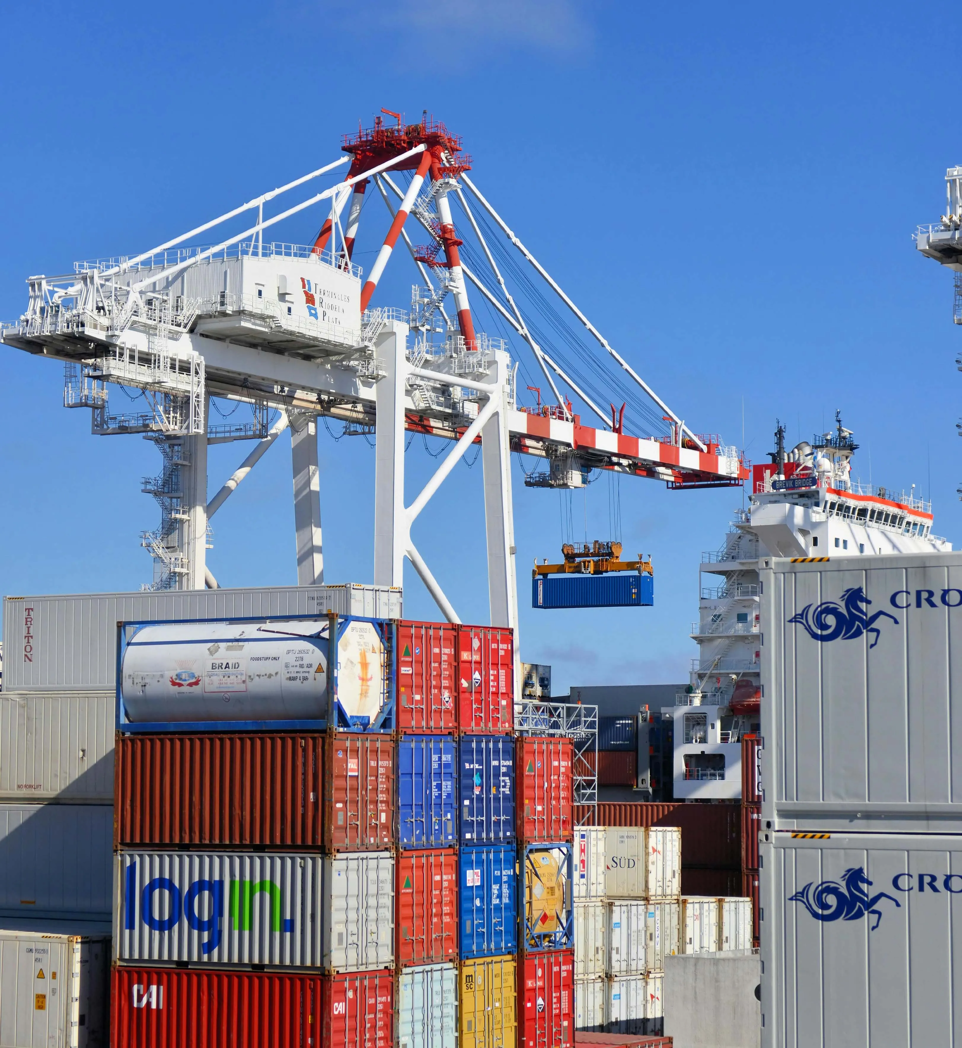 How can transdermal nutrition patches increase your distribution profits?