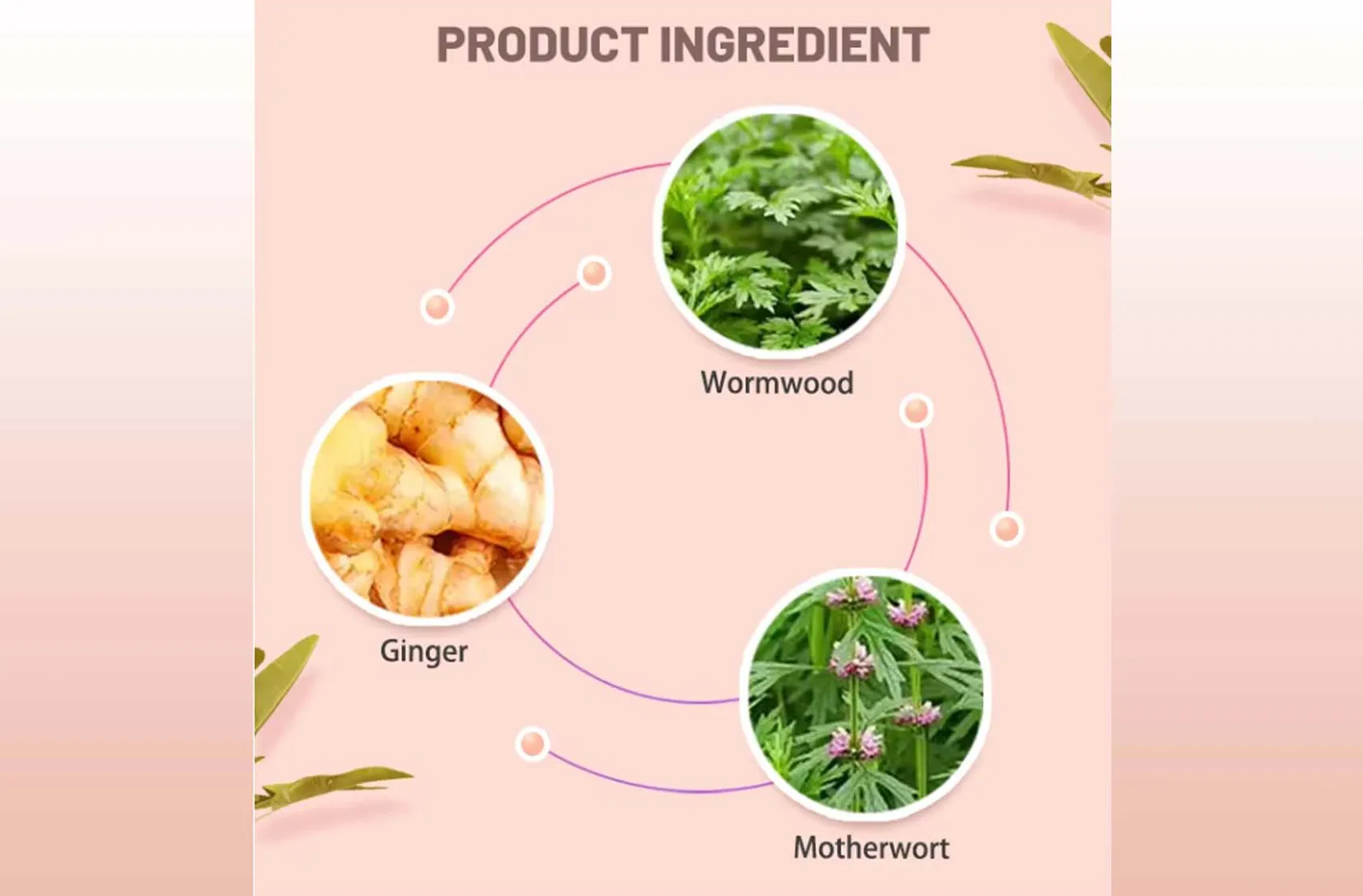 Product Ingredient