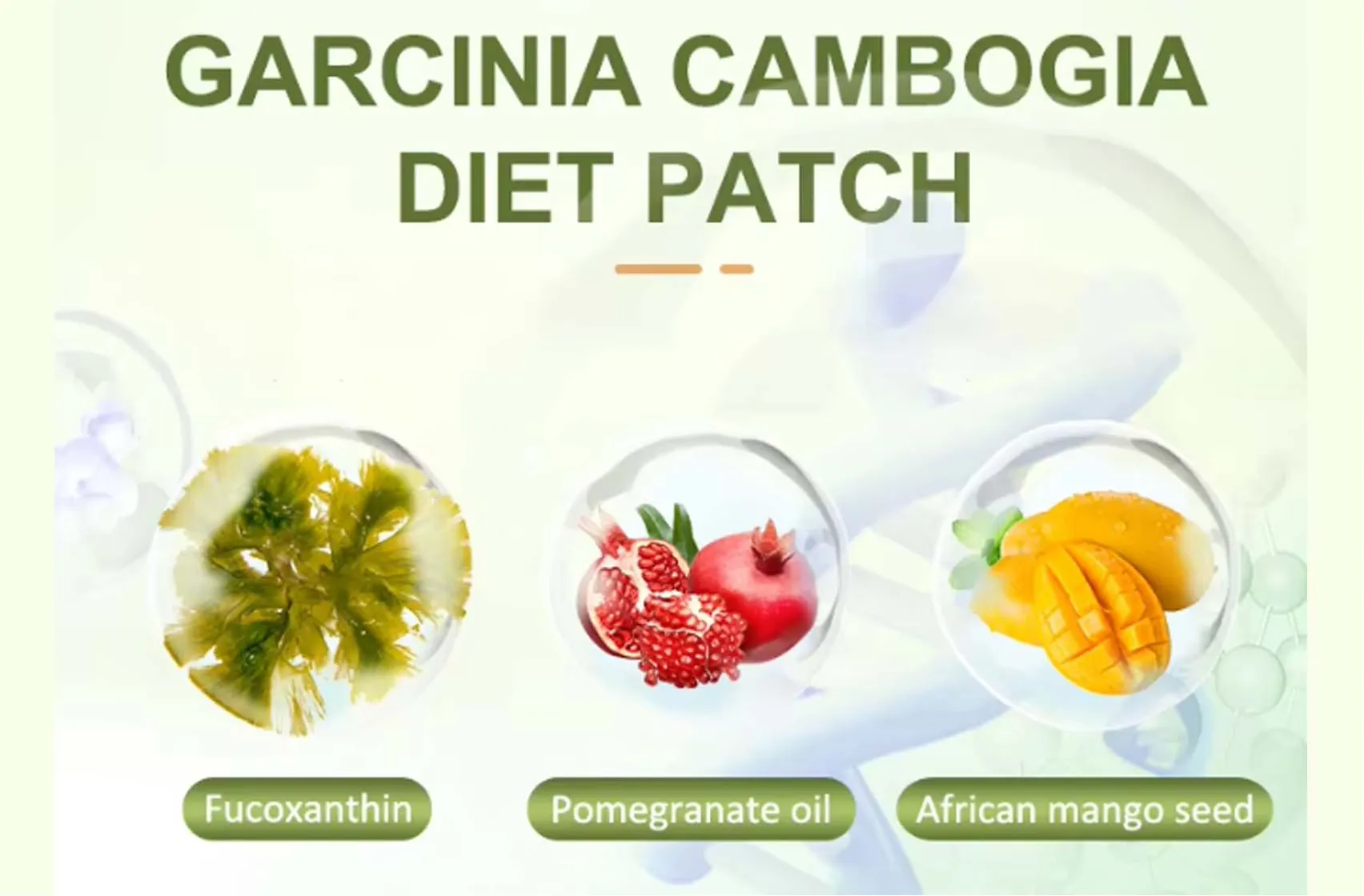 Garcinia Cambogia Diet Patch