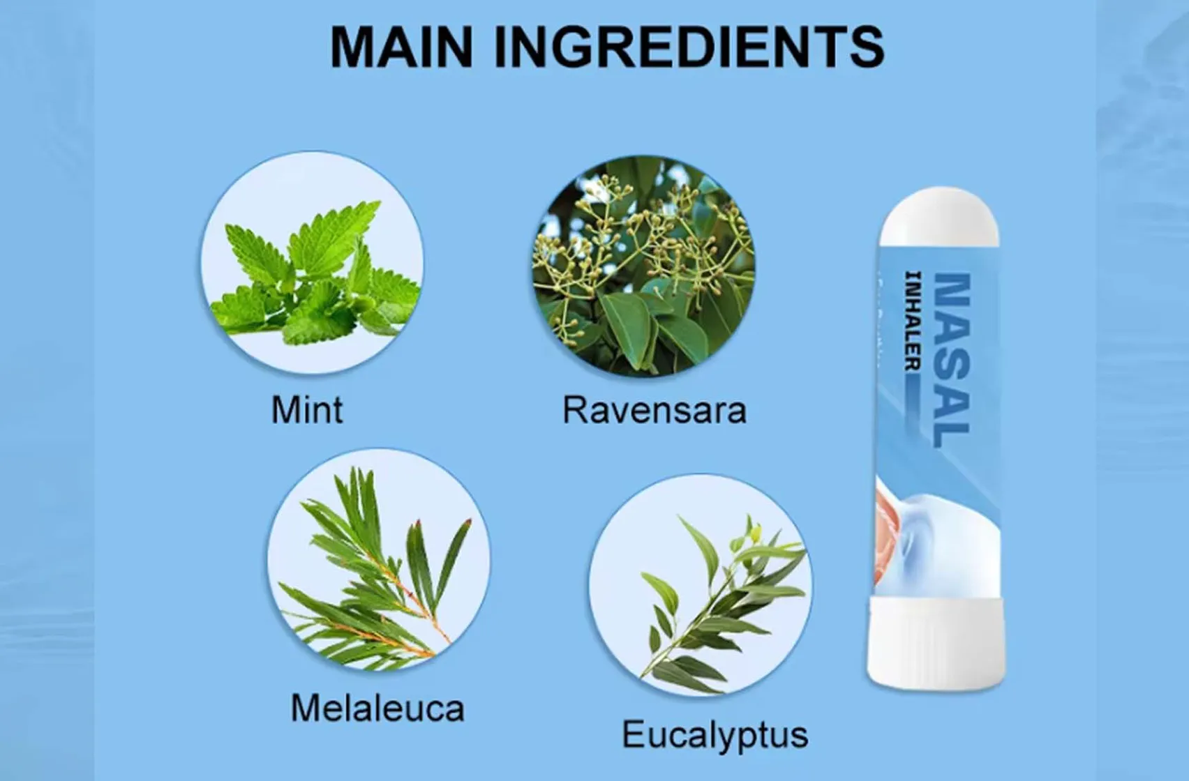 Main Ingredients