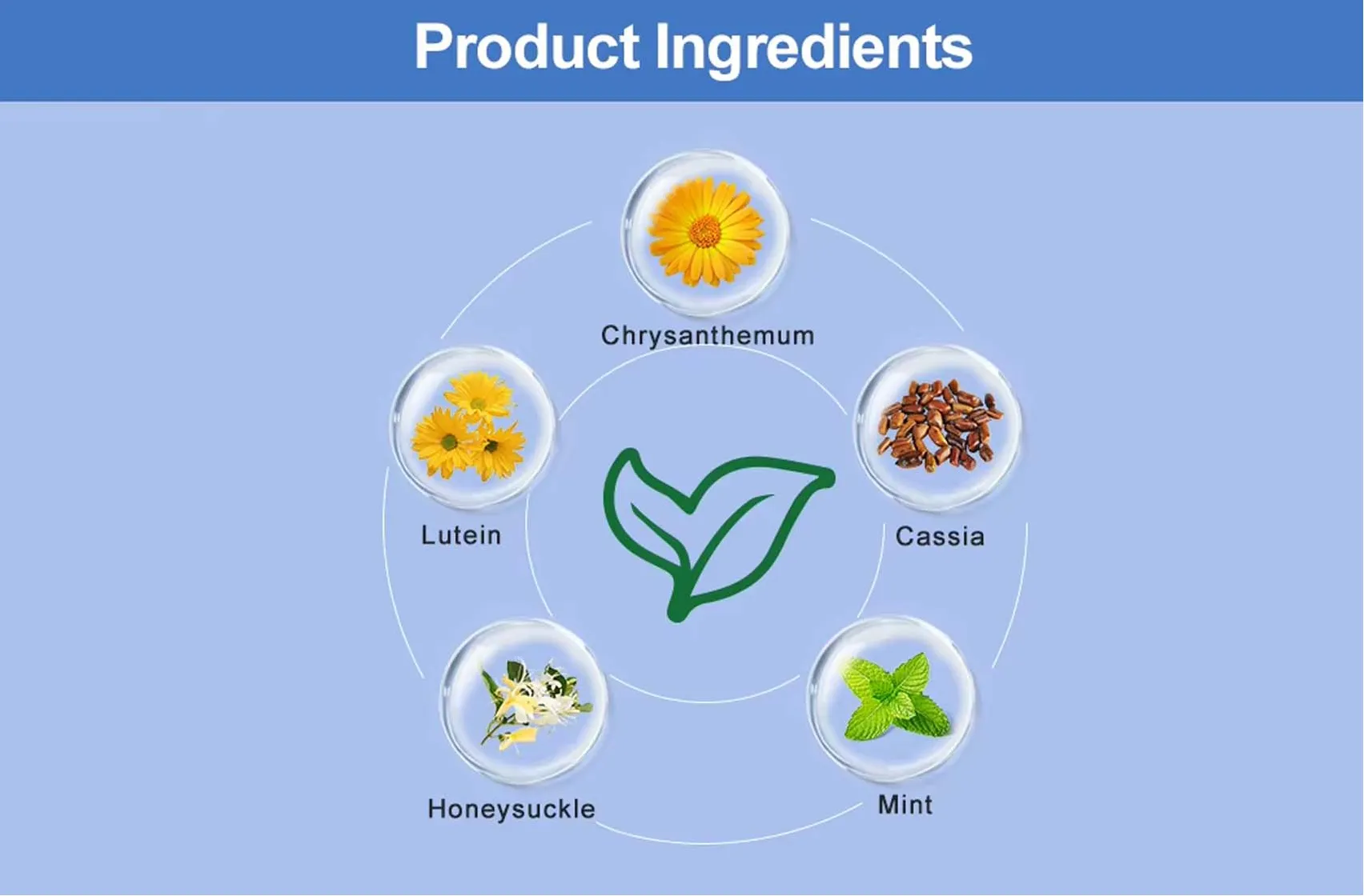 Product Ingredients