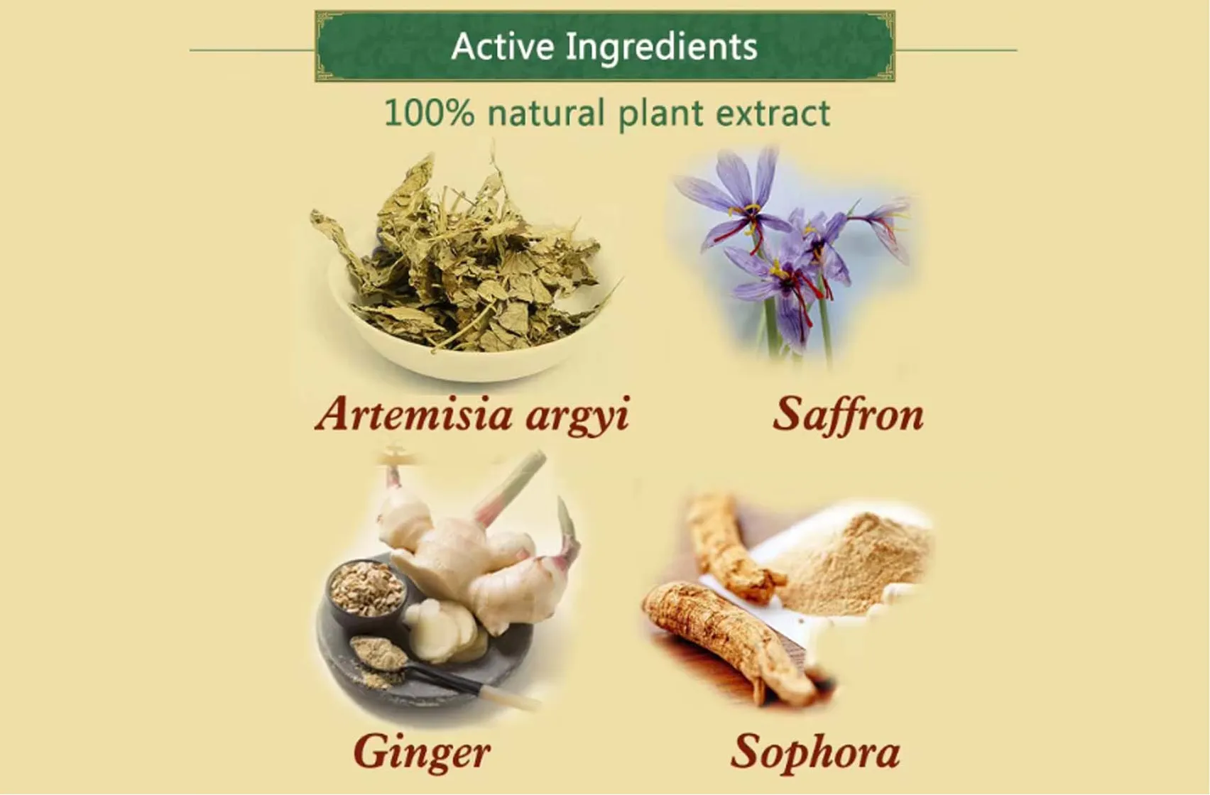 Active Ingredients