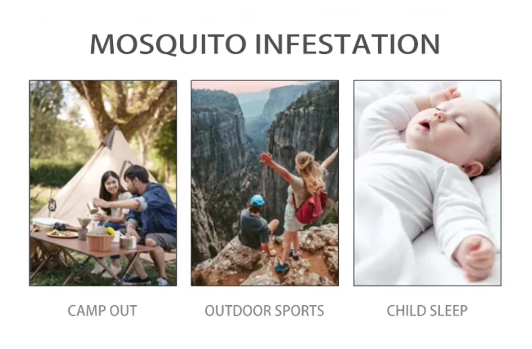 Mosquito Infestation