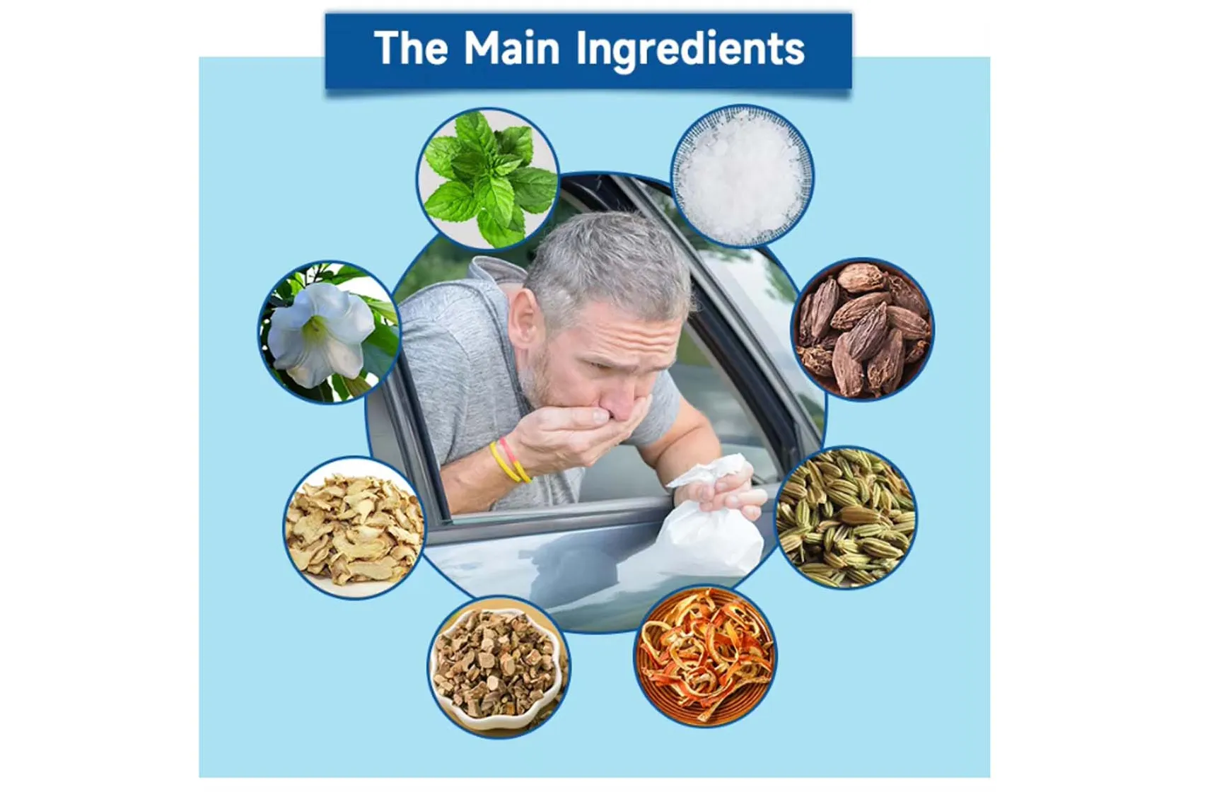 The Main Ingredients